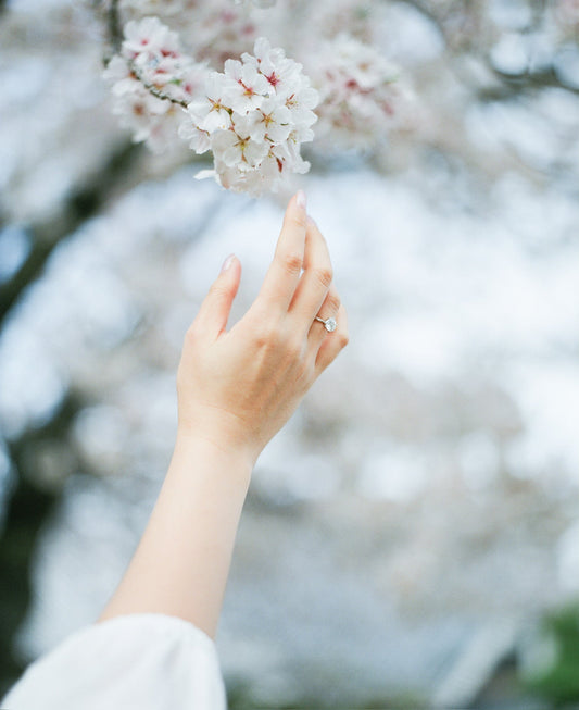 淡路島櫻花prewedding婚前攝