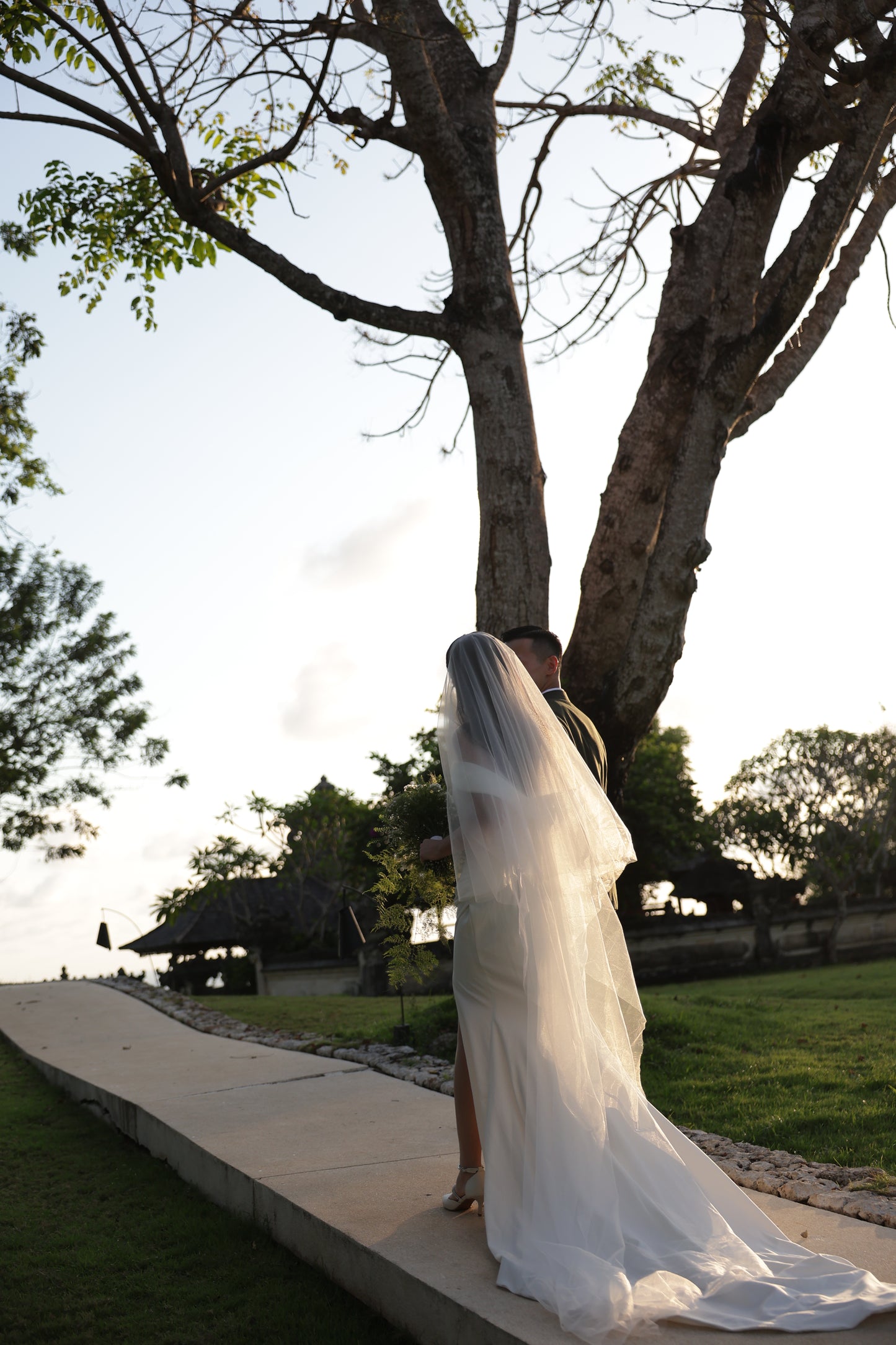 Classic HD Plain Veil (3 meters * 1.5 meters)